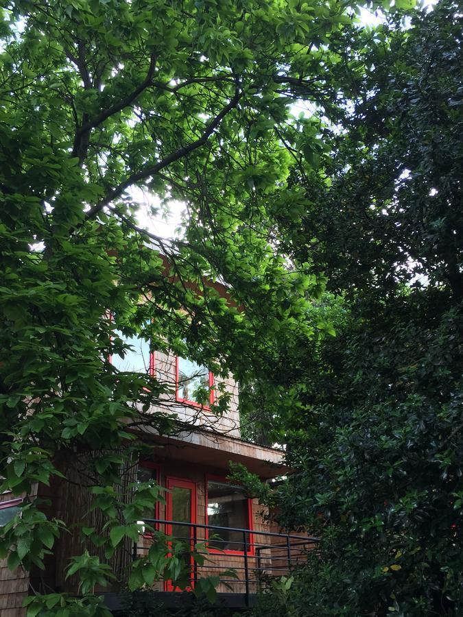 Almabosque Cabanas 巴拉斯港 外观 照片