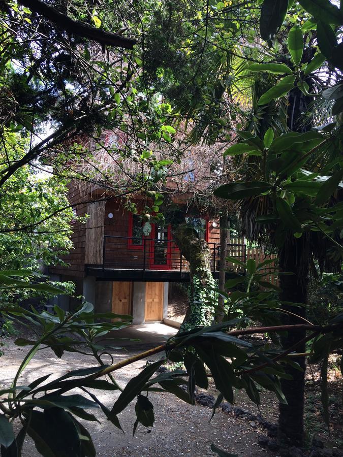 Almabosque Cabanas 巴拉斯港 外观 照片